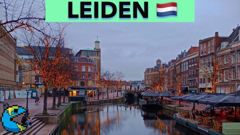 Descubre a Leiden: Biografía y Contribuciones del Músico Emergente